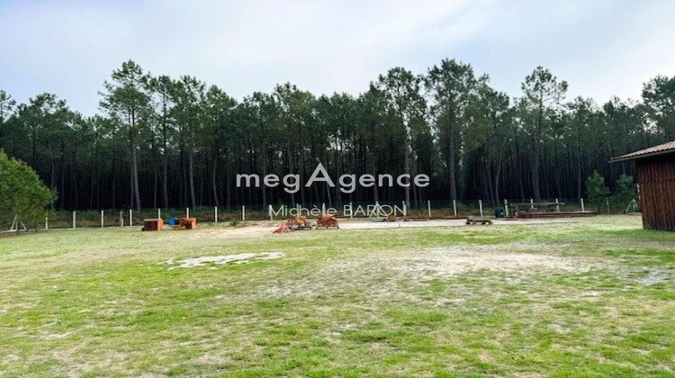 Ma-Cabane - Vente Maison SAINT MICHEL ESCALUS, 245 m²