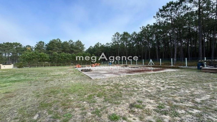 Ma-Cabane - Vente Maison SAINT MICHEL ESCALUS, 245 m²