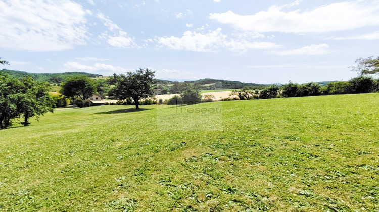 Ma-Cabane - Vente Maison SAINT MICHEL SUR SAVASSE, 415 m²