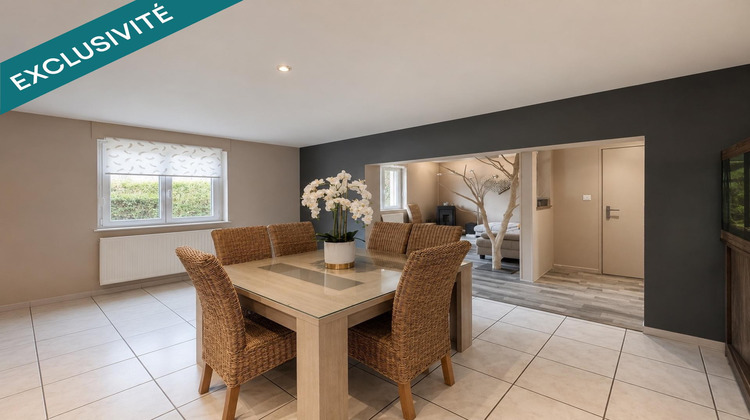 Ma-Cabane - Vente Maison Saint-Nabord, 418 m²