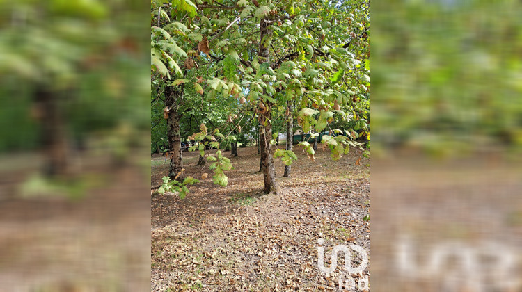 Ma-Cabane - Vente Maison Saint-Nicolas-de-la-Grave, 304 m²