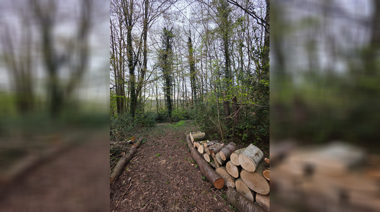 Ma-Cabane - Vente Maison SAINT-PAUL, 168 m²