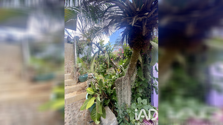 Ma-Cabane - Vente Maison Saint-Pierre, 201 m²