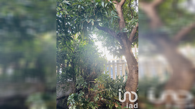 Ma-Cabane - Vente Maison Saint-Pierre, 110 m²