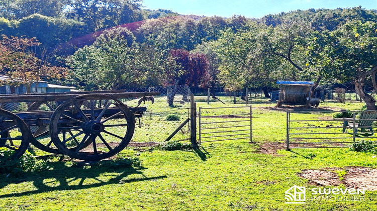 Ma-Cabane - Vente Maison Saint-Plancard, 329 m²