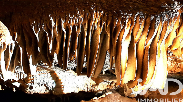 Ma-Cabane - Vente Maison Saint-Remèze, 400 m²