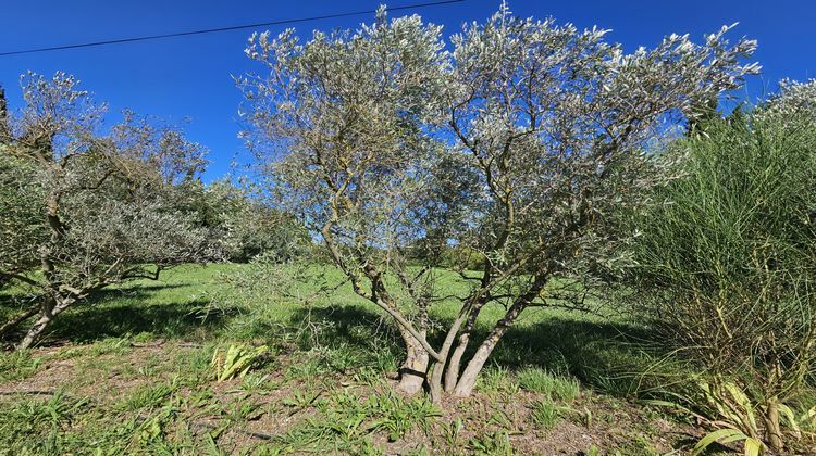 Ma-Cabane - Vente Maison Saint-Rémy-de-Provence, 100 m²