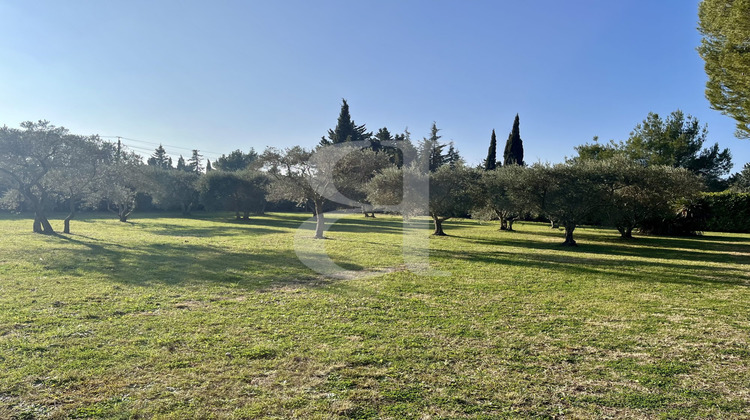 Ma-Cabane - Vente Maison Saint-Rémy-de-Provence, 294 m²