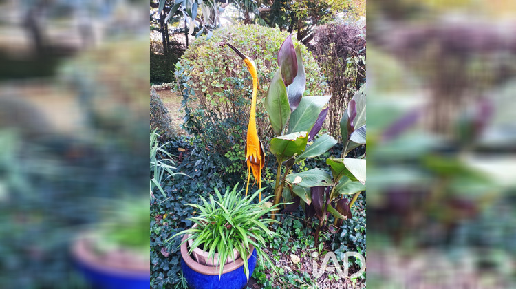 Ma-Cabane - Vente Maison Saint-Romain-de-Benet, 220 m²