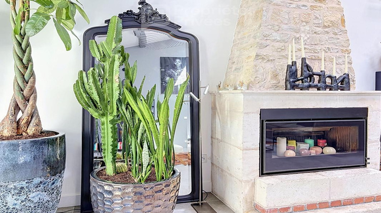Ma-Cabane - Vente Maison SAINT SAUVEUR D AUNIS, 218 m²