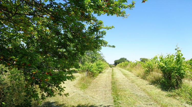Ma-Cabane - Vente Maison Saint-Séverin, 45 m²