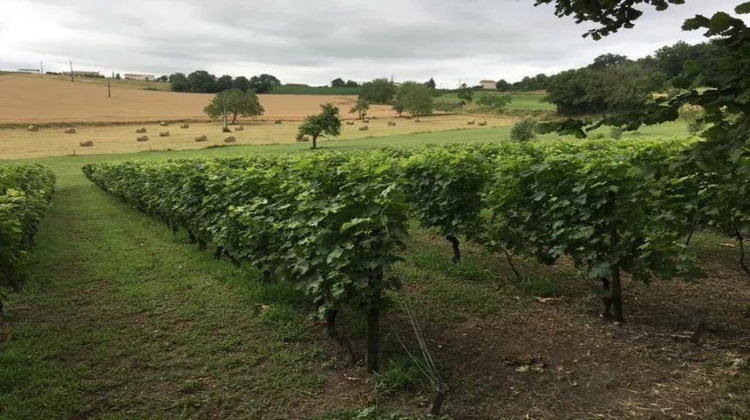 Ma-Cabane - Vente Maison Saint-Séverin, 142 m²