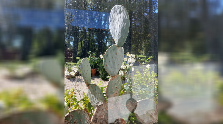 Ma-Cabane - Vente Maison SAINT-SULPICE-DE-ROYAN, 185 m²