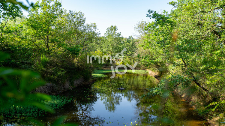 Ma-Cabane - Vente Maison Saint-Sulpice-sur-Lèze, 282 m²