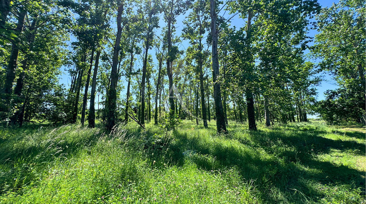 Ma-Cabane - Vente Maison SAINT-URBAIN, 120 m²