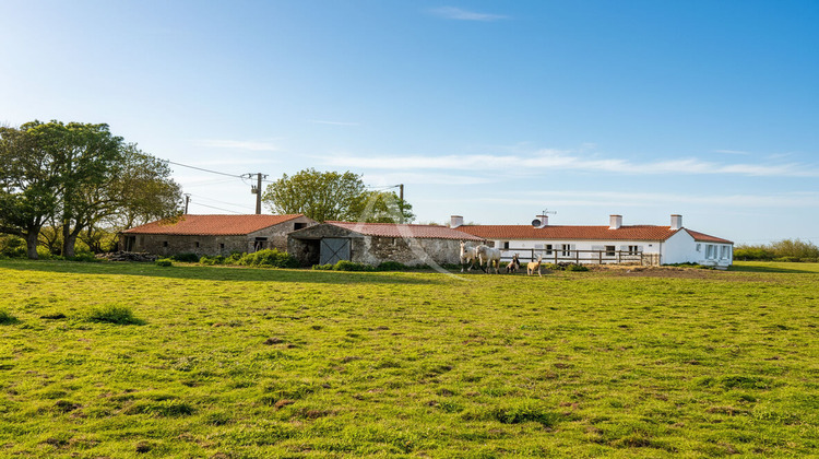 Ma-Cabane - Vente Maison SAINT-URBAIN, 142 m²