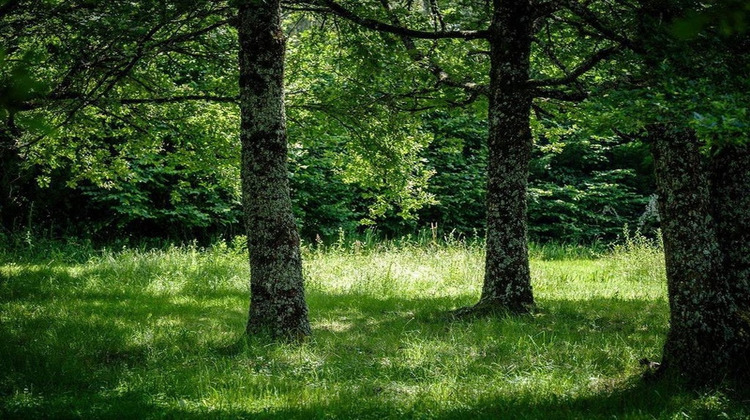 Ma-Cabane - Vente Maison SAINT VAURY, 590 m²