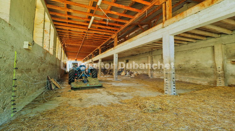 Ma-Cabane - Vente Maison SAINT-VINCENT-DE-BOISSET, 500 m²