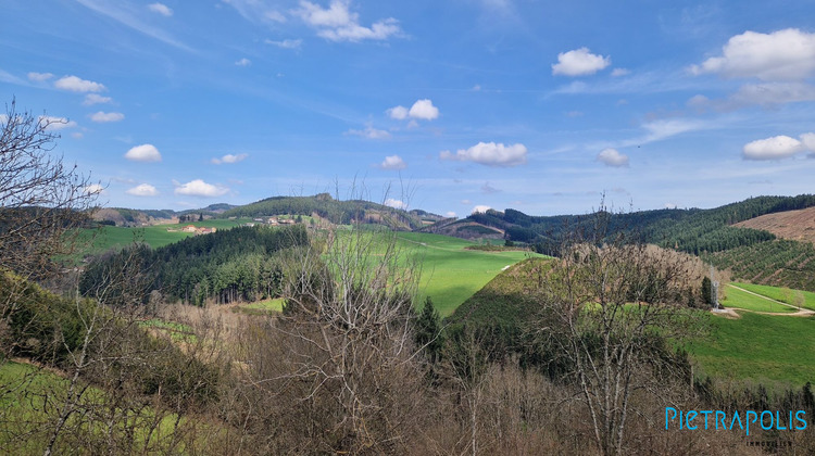 Ma-Cabane - Vente Maison Saint-Vincent-de-Reins, 120 m²