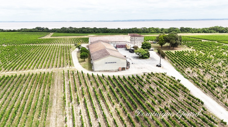 Ma-Cabane - Vente Maison SAINT YZANS DE MEDOC, 1357 m²