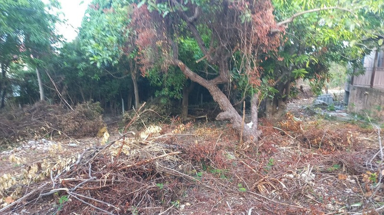 Ma-Cabane - Vente Maison SAINTE ANNE, 200 m²