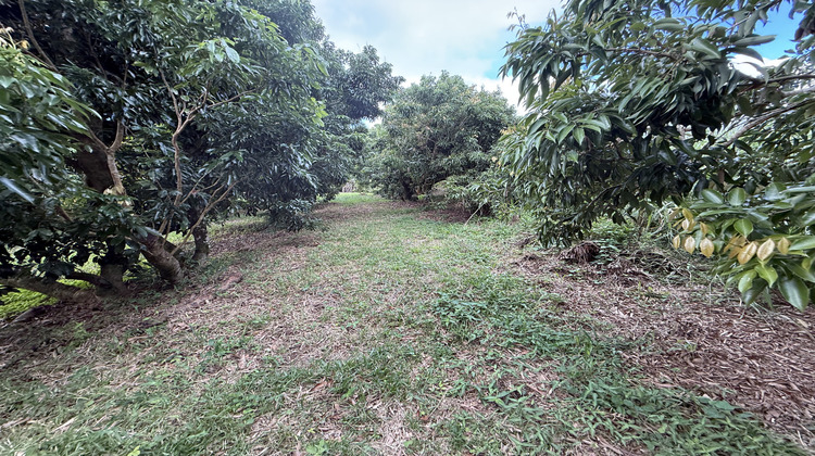 Ma-Cabane - Vente Maison Sainte-Anne, 245 m²