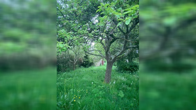 Ma-Cabane - Vente Maison Sainte-Céronne-Lès-Mortagne, 50 m²