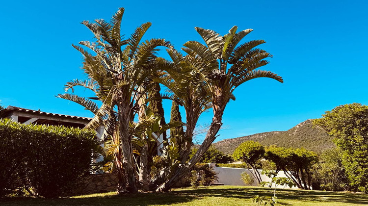 Ma-Cabane - Vente Maison SAINTE LUCIE DE PORTO VECCHIO, 270 m²