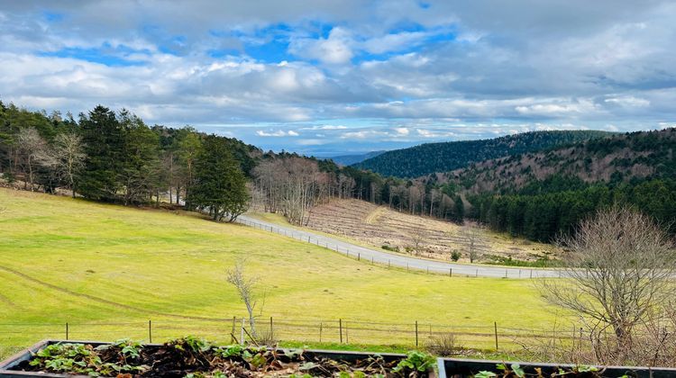 Ma-Cabane - Vente Maison Sainte-Marie-aux-Mines, 227 m²