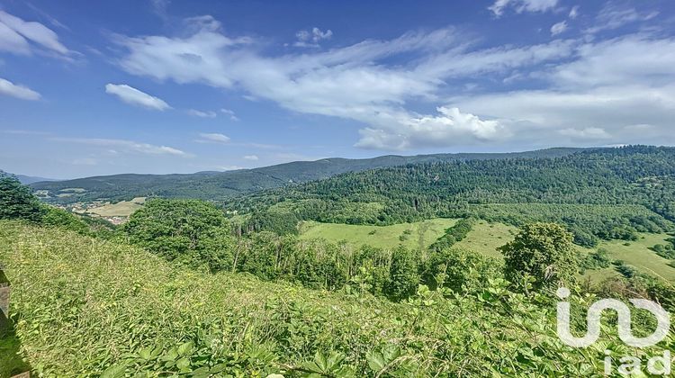 Ma-Cabane - Vente Maison Sainte-Marie-Aux-Mines, 491 m²