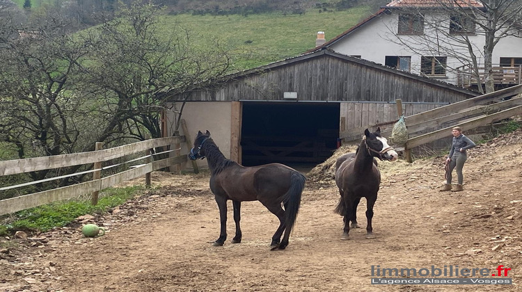 Ma-Cabane - Vente Maison Sainte-Marie-aux-Mines, 400 m²