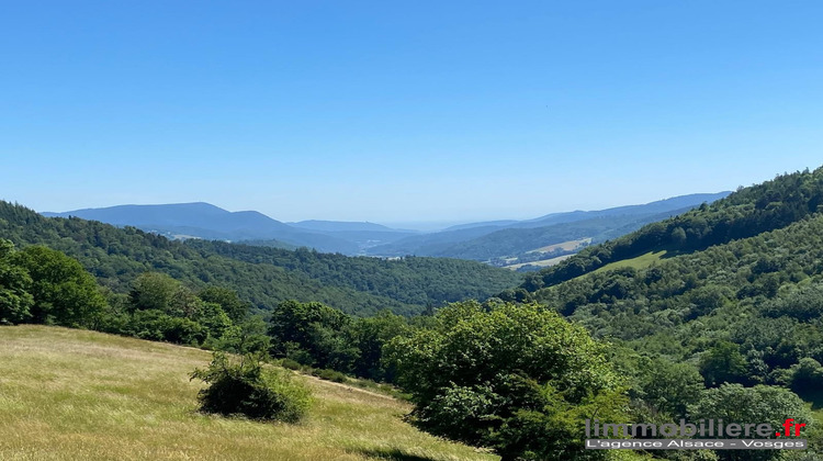 Ma-Cabane - Vente Maison Sainte-Marie-aux-Mines, 400 m²