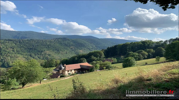 Ma-Cabane - Vente Maison Sainte-Marie-aux-Mines, 450 m²