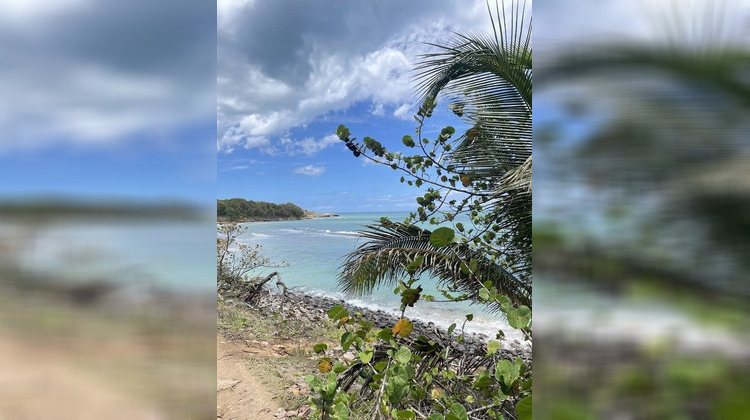 Ma-Cabane - Vente Maison SAINTE ROSE, 440 m²