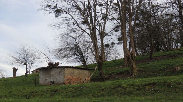 Ma-Cabane - Vente Maison Salies-de-Béarn, 156 m²