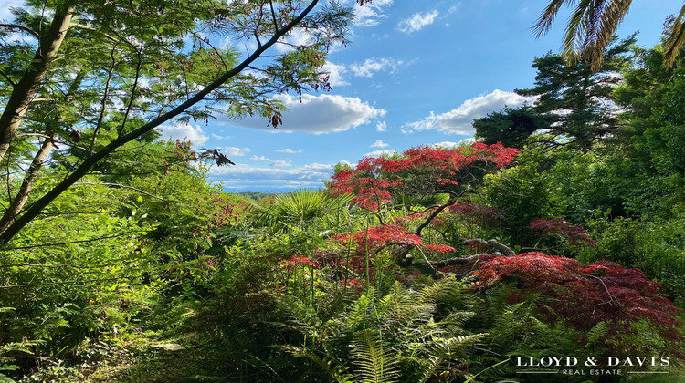 Ma-Cabane - Vente Maison Salies-de-Béarn, 500 m²