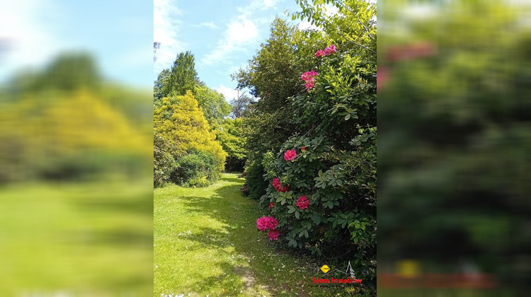 Ma-Cabane - Vente Maison Salies-de-Béarn, 500 m²