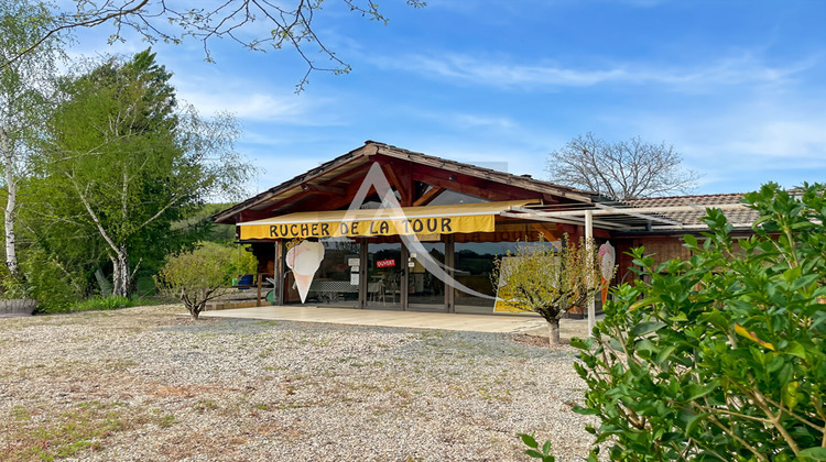 Ma-Cabane - Vente Maison SALLES, 300 m²
