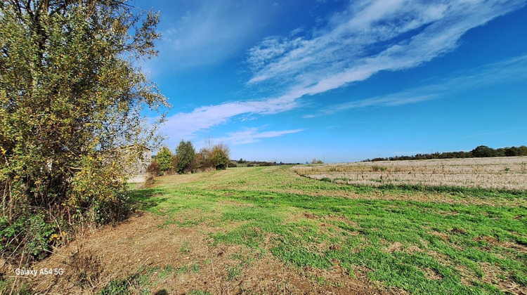Ma-Cabane - Vente Maison Samaran, 460 m²