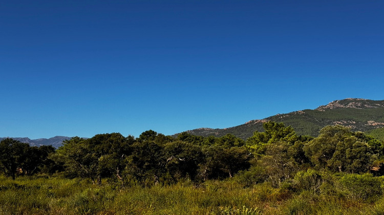 Ma-Cabane - Vente Maison San-Gavino-di-Carbini, 145 m²