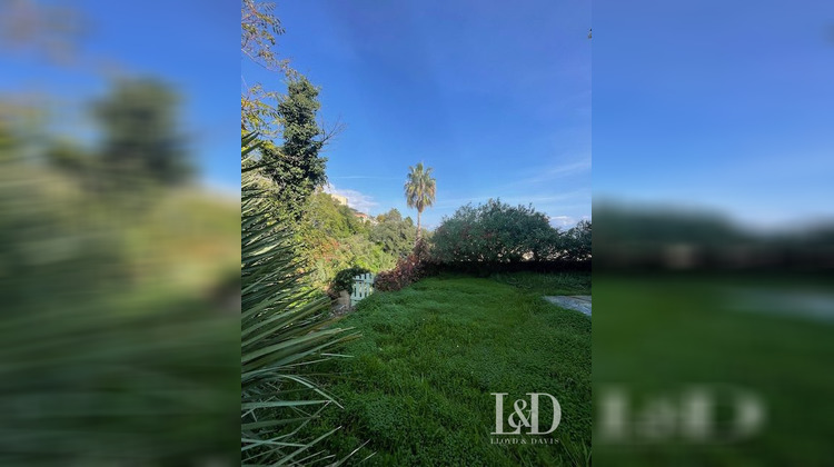 Ma-Cabane - Vente Maison San-Martino-di-Lota, 185 m²