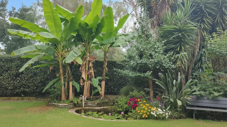 Ma-Cabane - Vente Maison San-Nicolao, 220 m²