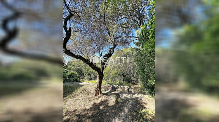 Ma-Cabane - Vente Maison Sanary-sur-Mer, 120 m²