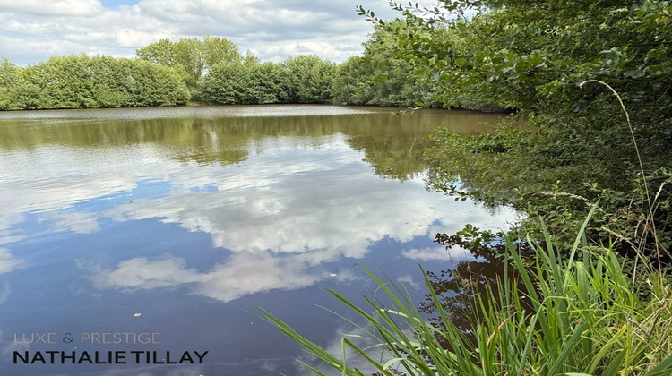 Ma-Cabane - Vente Maison SANDILLON, 365 m²