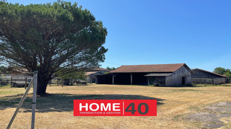Ma-Cabane - Vente Maison Sanguinet, 180 m²