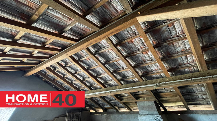 Ma-Cabane - Vente Maison Sanguinet, 180 m²