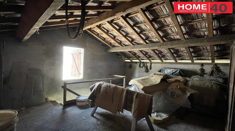 Ma-Cabane - Vente Maison Sanguinet, 80 m²