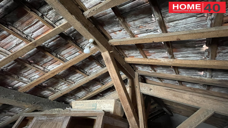 Ma-Cabane - Vente Maison Sanguinet, 80 m²