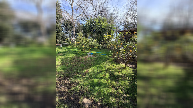 Ma-Cabane - Vente Maison Santa-Lucia-di-Moriani, 217 m²