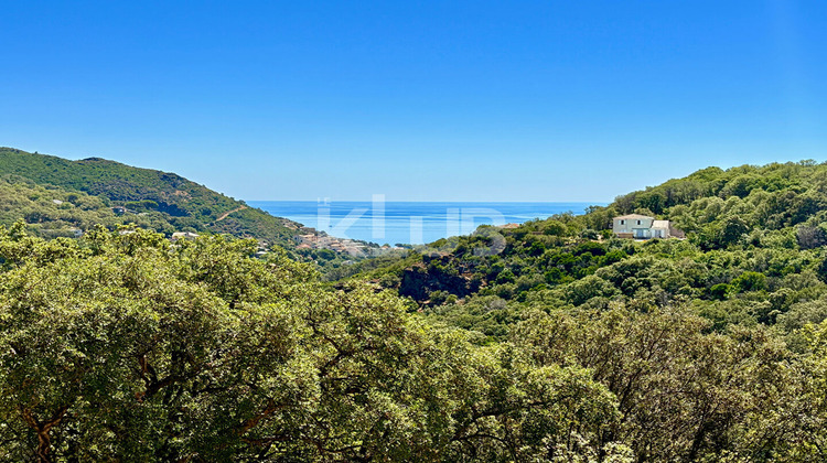 Ma-Cabane - Vente Maison SANTA-MARIA-DI-LOTA, 210 m²